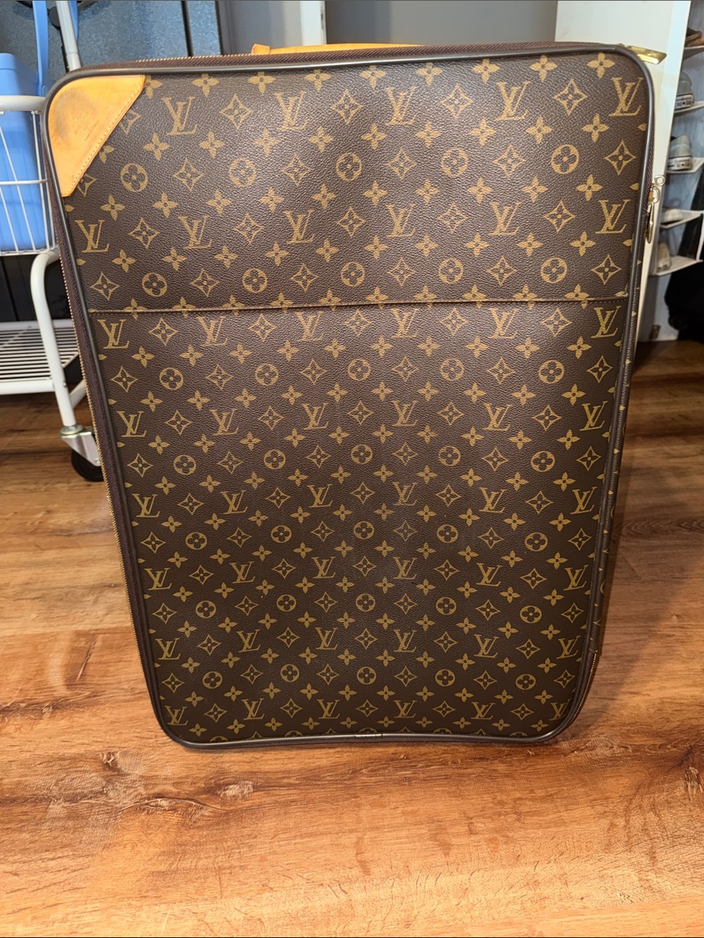 Louis Vuitton Pegase 65